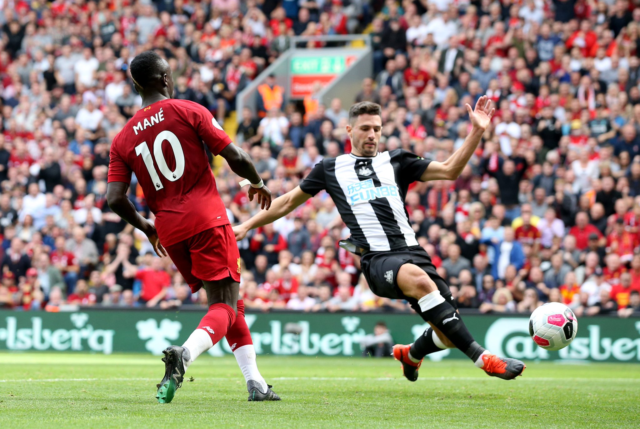 争中拔得头 争中拔得头